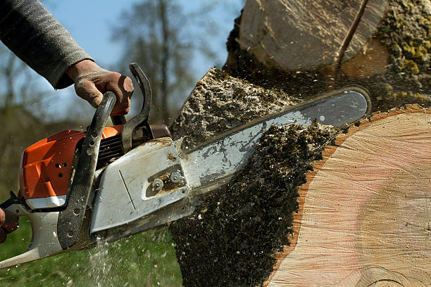 Best Lawn Pest Prevention  in Orleans, IN